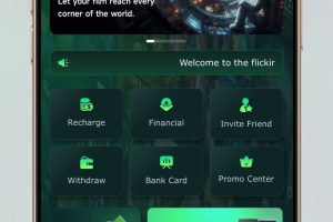 Flickiri Fun – 海外电影投资理财平台源码